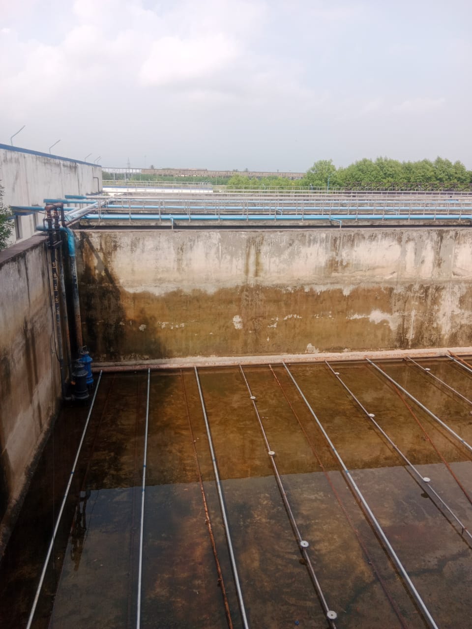 Project area